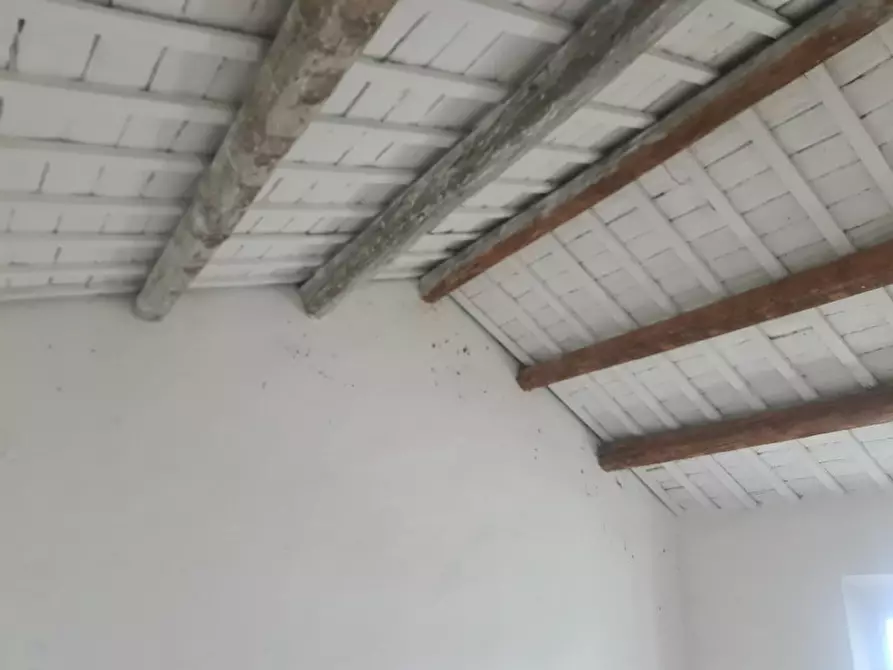 Immagine 21 di Casa indipendente in vendita  in VIA PIOPPA 12 a Migliaro