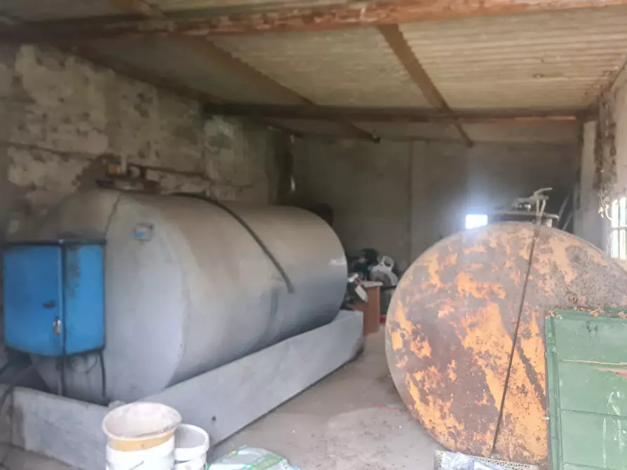 Immagine 28 di Casa indipendente in vendita  in VIA PIOPPA 12 a Migliaro