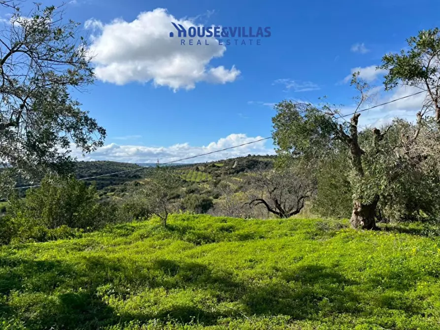 Immagine 23 di Rustico / casale in vendita  in Contrada san Paolo a Noto