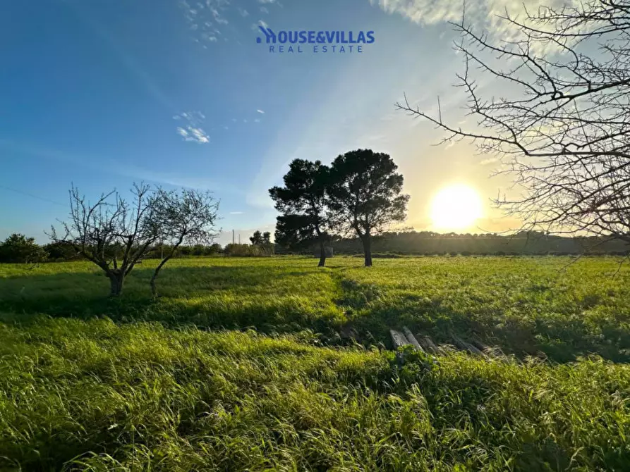 Immagine 17 di Rustico / casale in vendita  in contrada piana a Noto