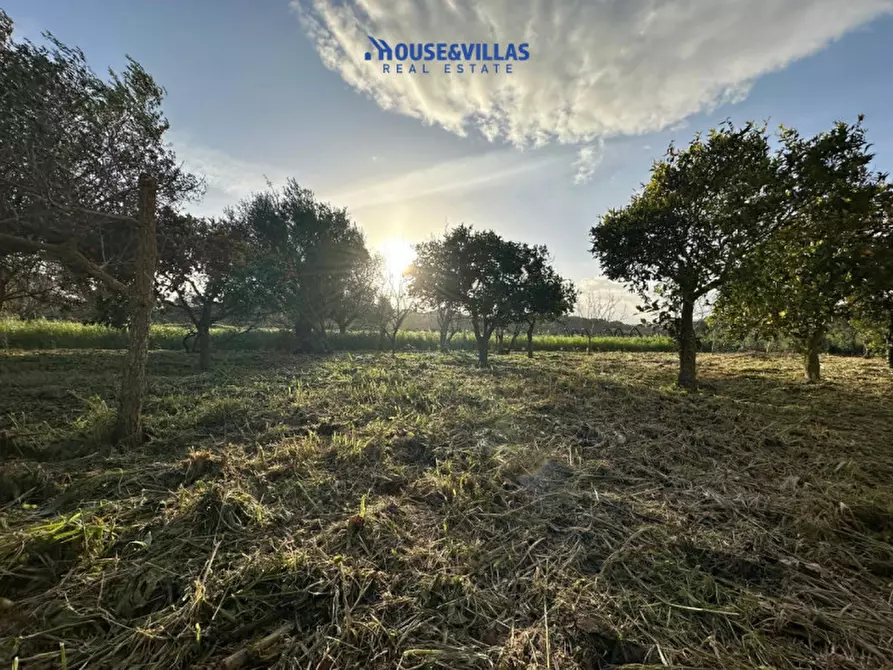 Immagine 19 di Rustico / casale in vendita  in contrada piana a Noto
