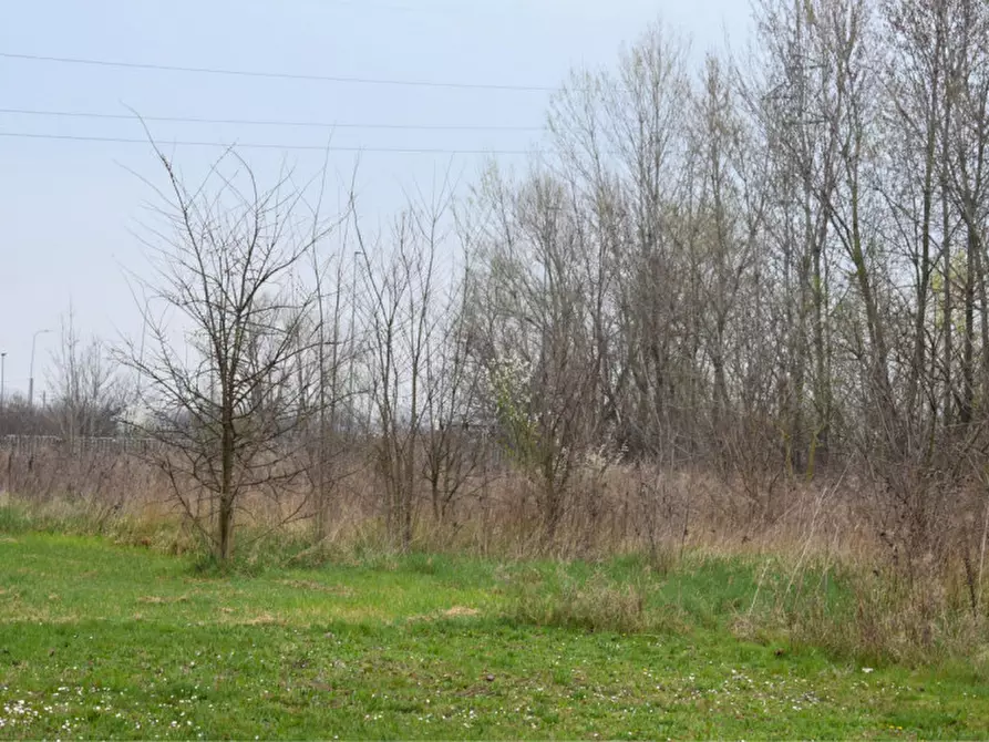 Immagine 6 di Terreno in vendita  in via benedetta a Parma
