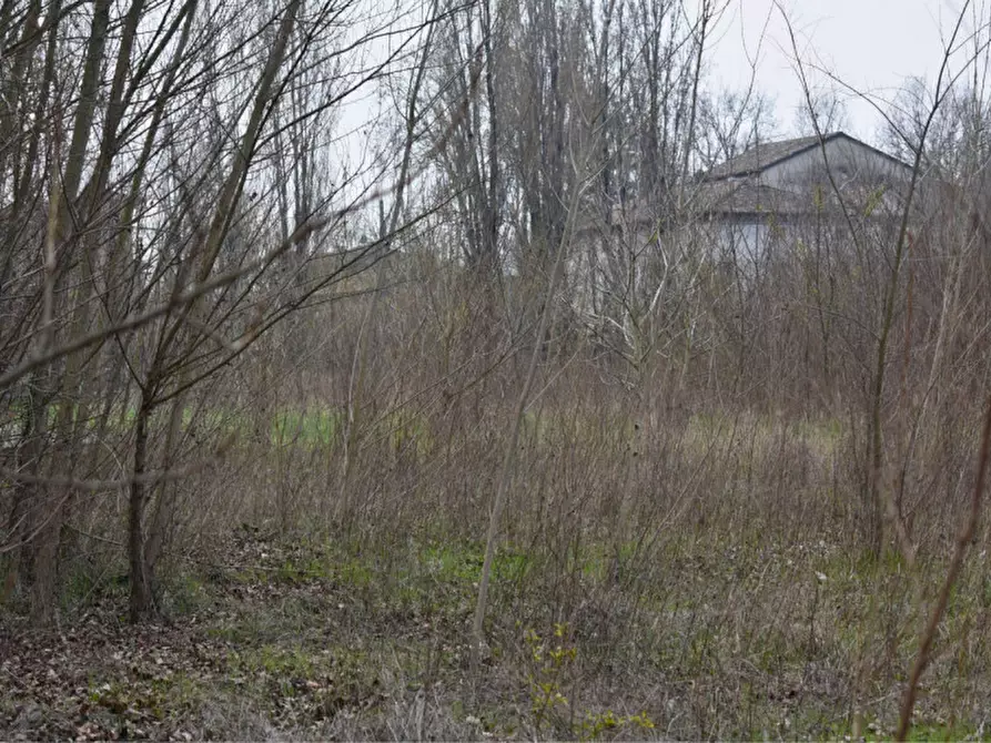 Immagine 9 di Terreno in vendita  in via benedetta a Parma