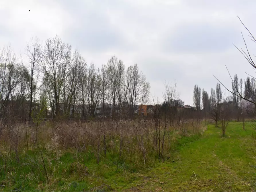 Immagine 29 di Terreno in vendita  in via benedetta a Parma