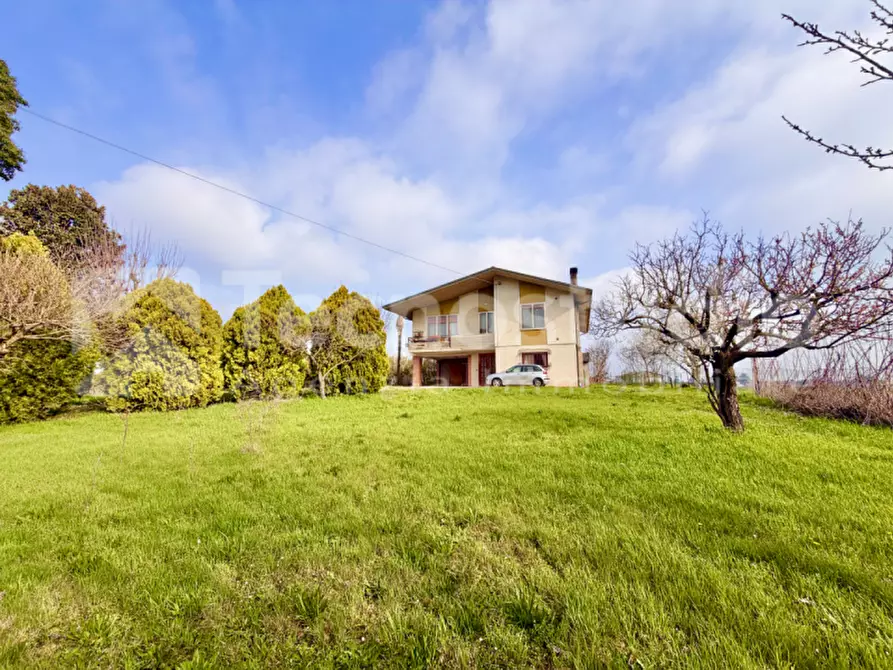 Immagine 3 di Casa indipendente in vendita  in Via Decio Corubolo a Pressana