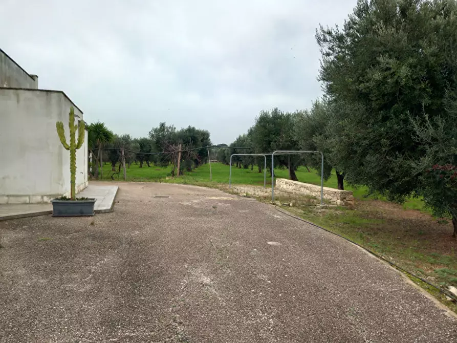 Immagine 5 di Villa in vendita  in C.da Morgicchio a Carovigno