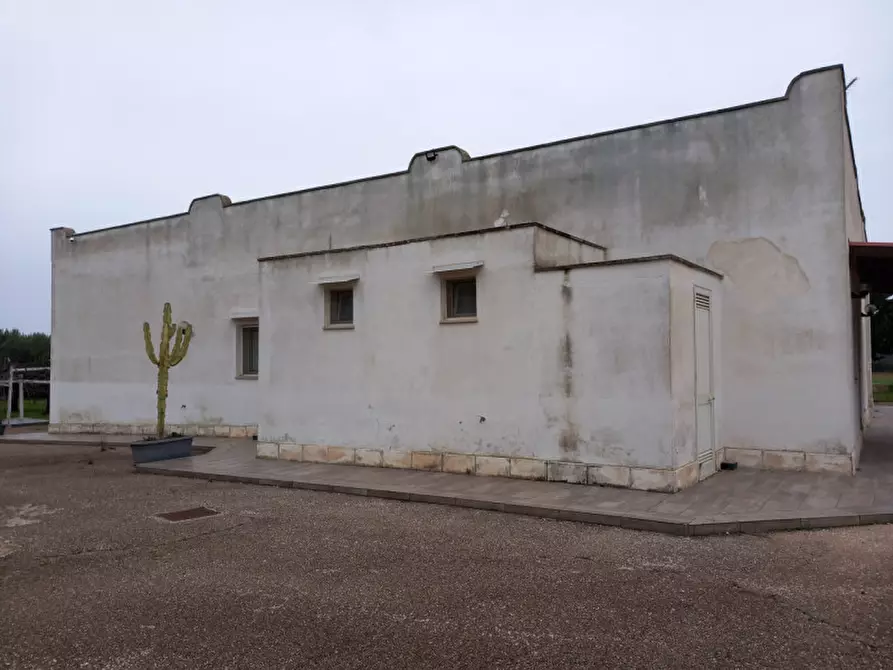 Immagine 8 di Villa in vendita  in C.da Morgicchio a Carovigno