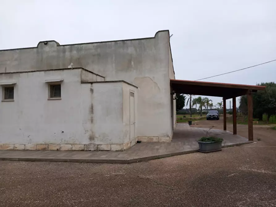 Immagine 9 di Villa in vendita  in C.da Morgicchio a Carovigno