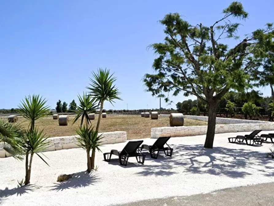 Immagine 31 di Villa in vendita  in C.da Morgicchio a Carovigno