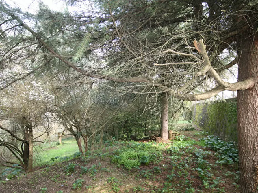 Immagine 19 di Casa indipendente in vendita  a Torrita Di Siena