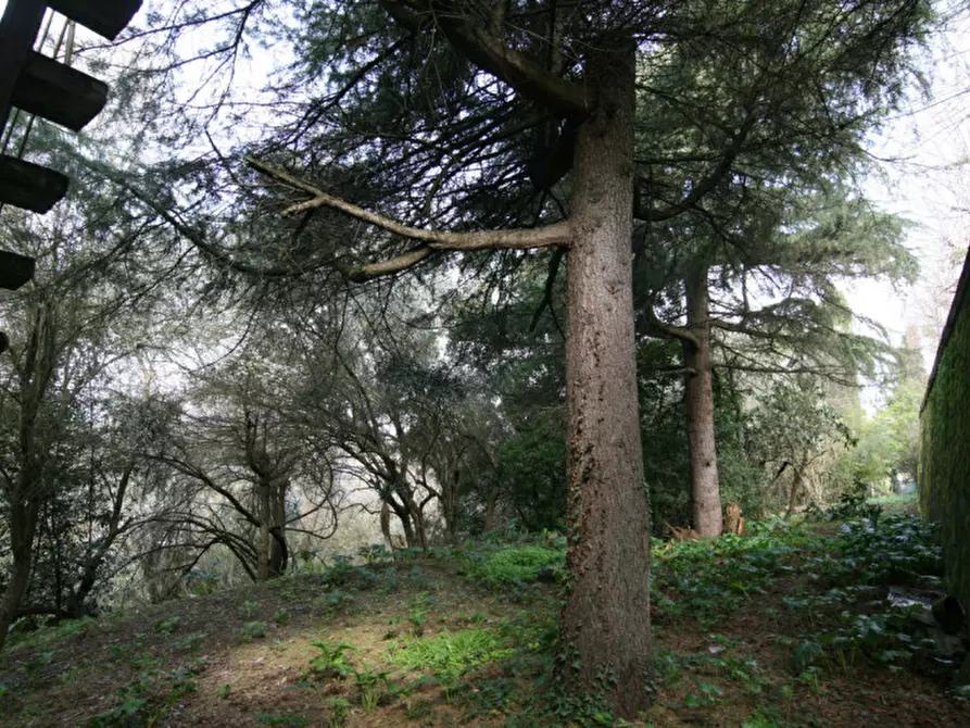Immagine 25 di Casa indipendente in vendita  a Torrita Di Siena