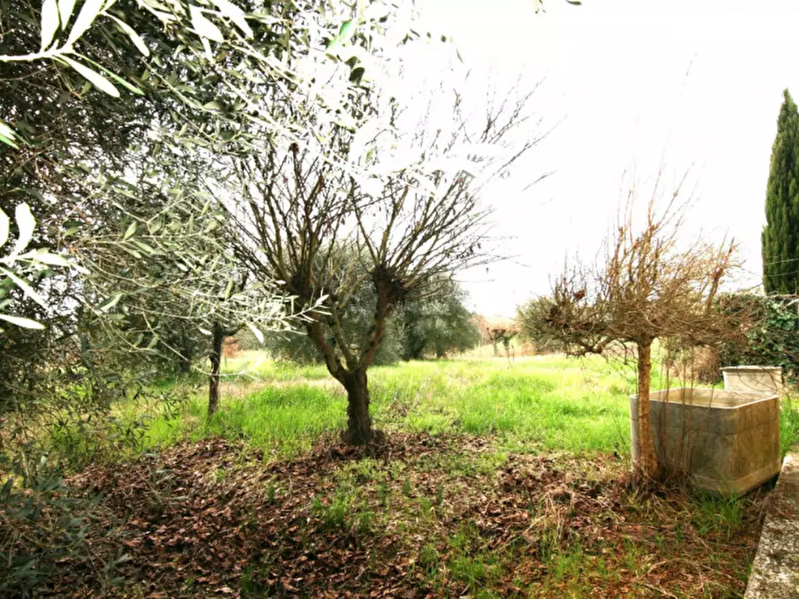 Immagine 1 di Casa indipendente in vendita  a Sinalunga