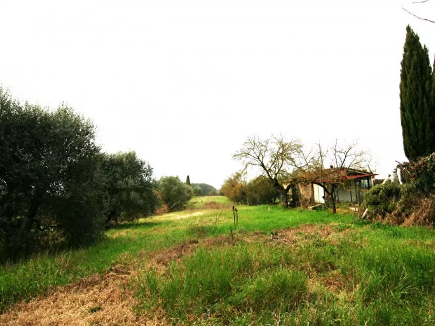 Immagine 2 di Casa indipendente in vendita  a Sinalunga