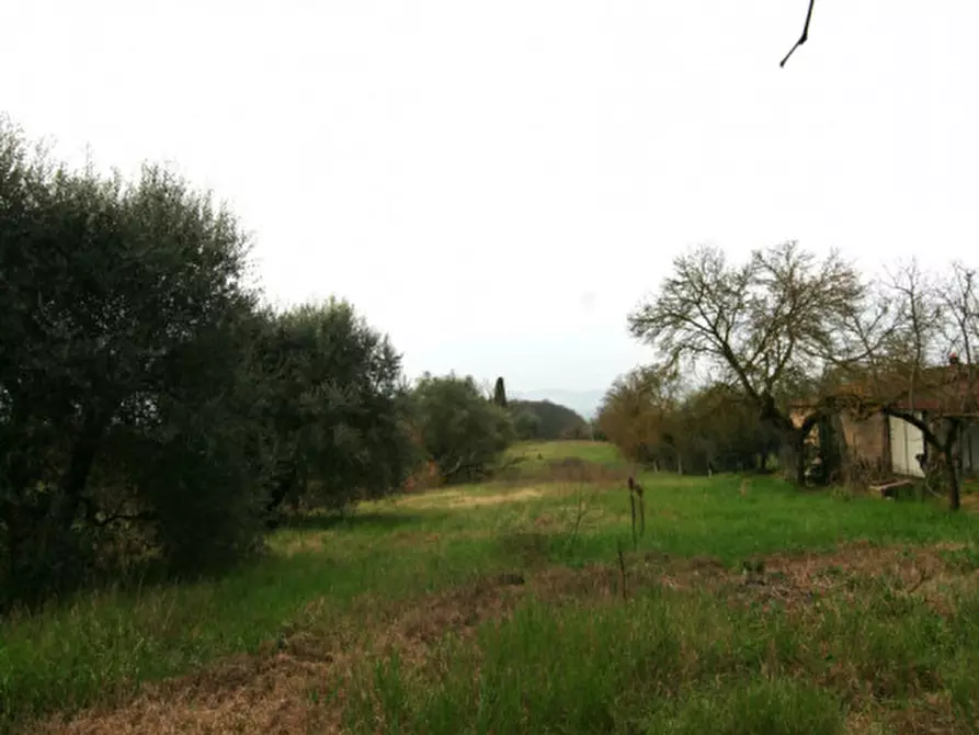 Immagine 3 di Casa indipendente in vendita  a Sinalunga