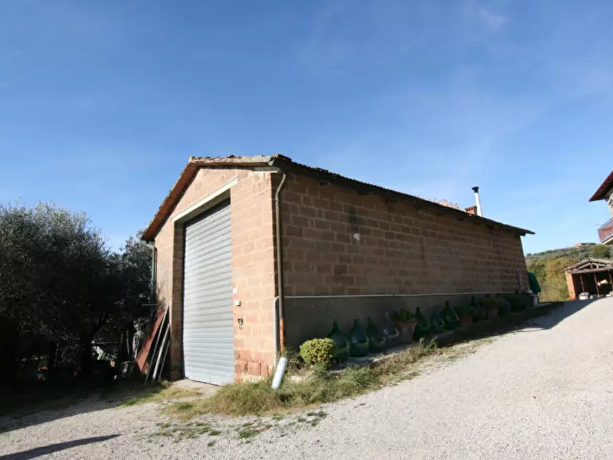 Immagine 3 di Rustico / casale in vendita  a Sinalunga