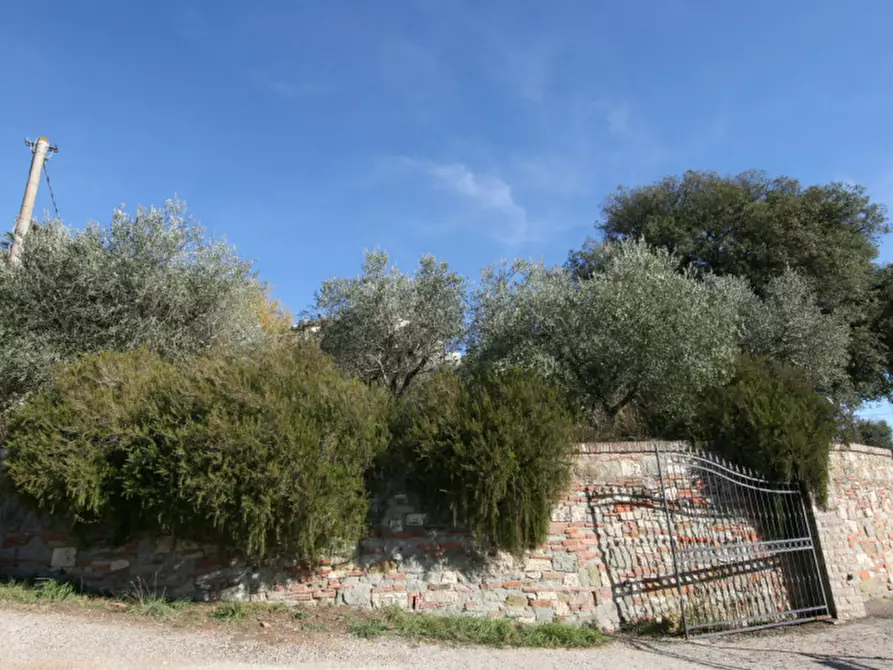 Immagine 4 di Rustico / casale in vendita  a Sinalunga