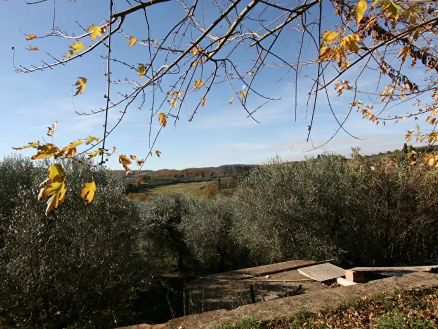 Immagine 8 di Rustico / casale in vendita  a Sinalunga