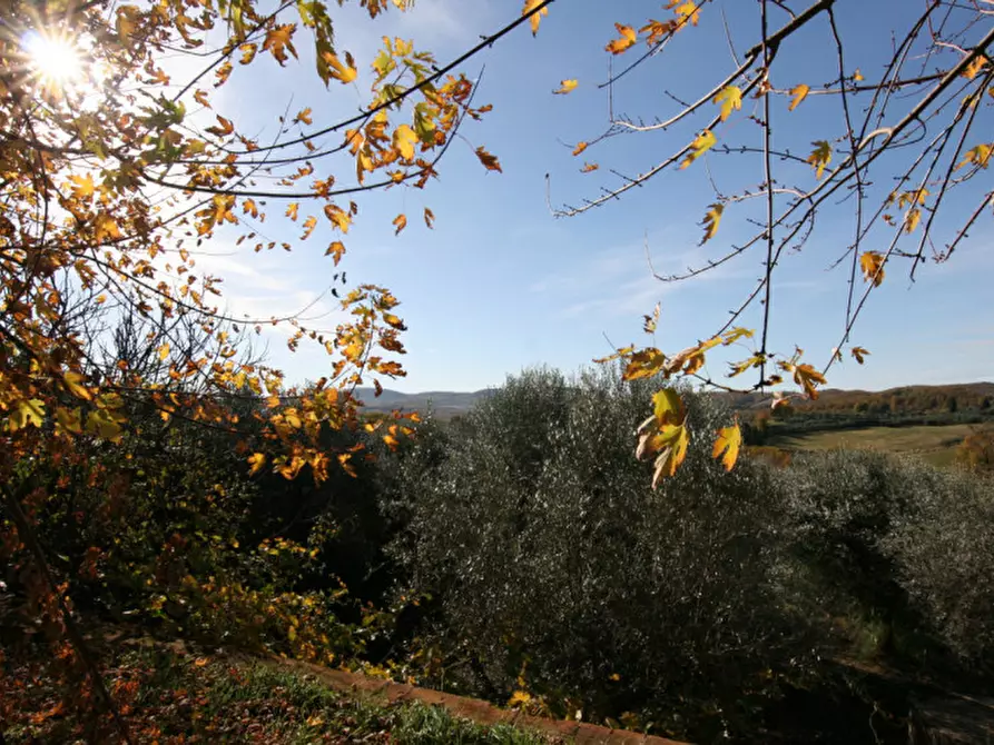 Immagine 9 di Rustico / casale in vendita  a Sinalunga