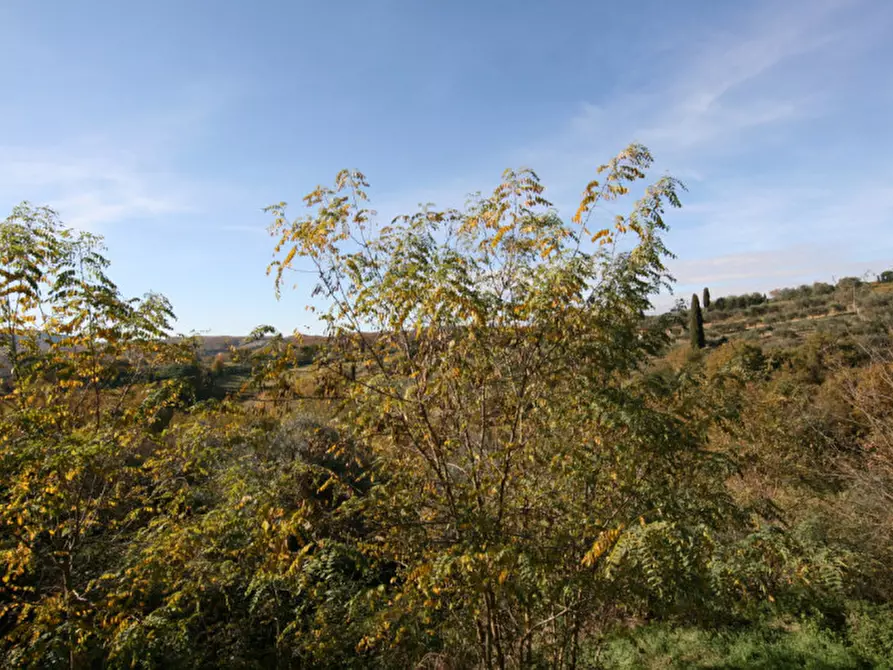 Immagine 16 di Rustico / casale in vendita  a Sinalunga