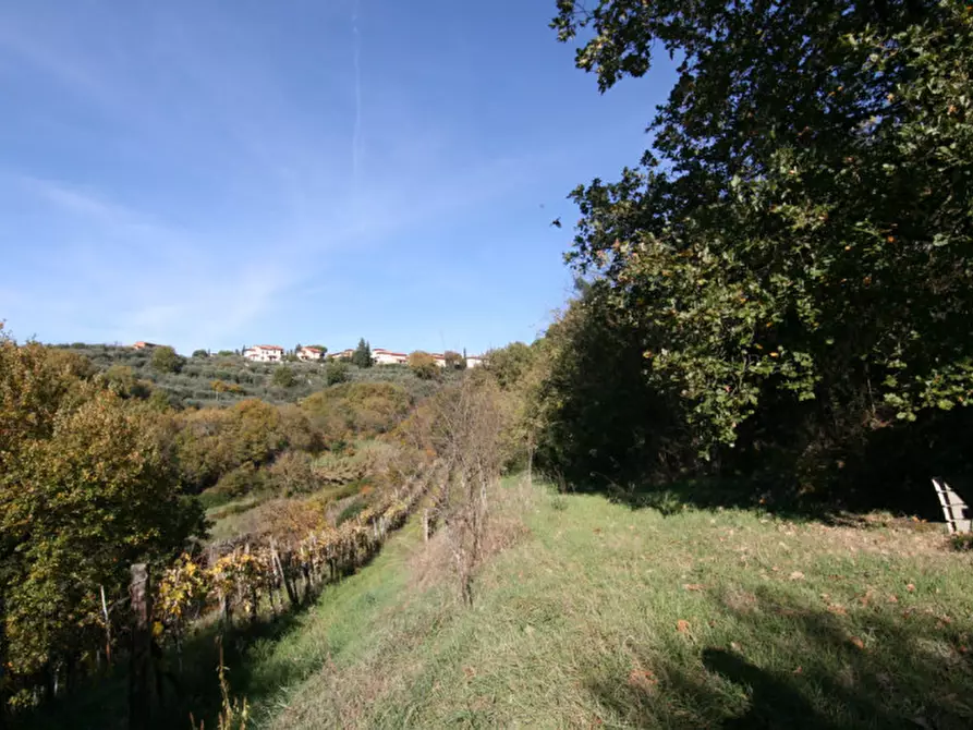 Immagine 18 di Rustico / casale in vendita  a Sinalunga