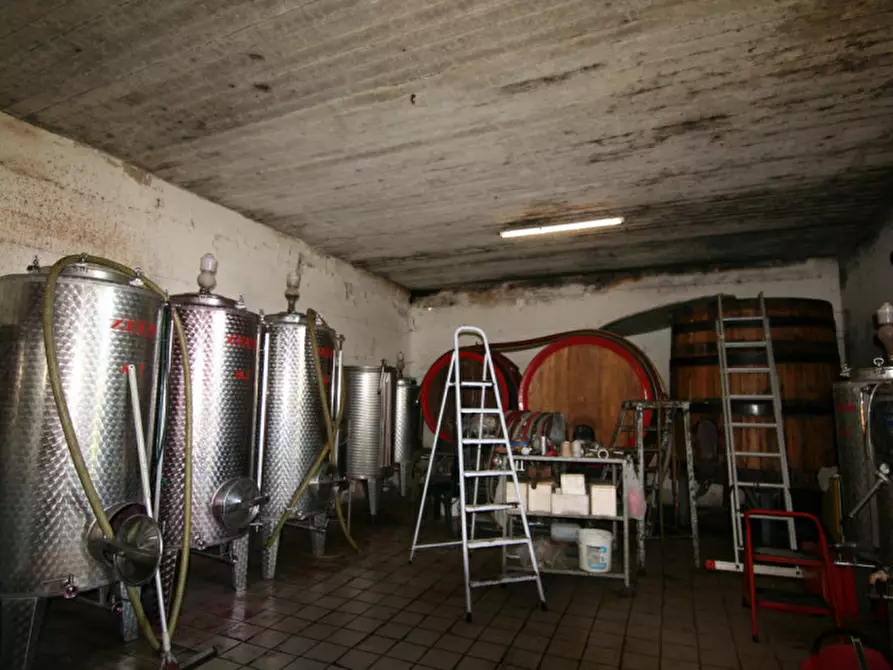 Immagine 21 di Rustico / casale in vendita  a Sinalunga