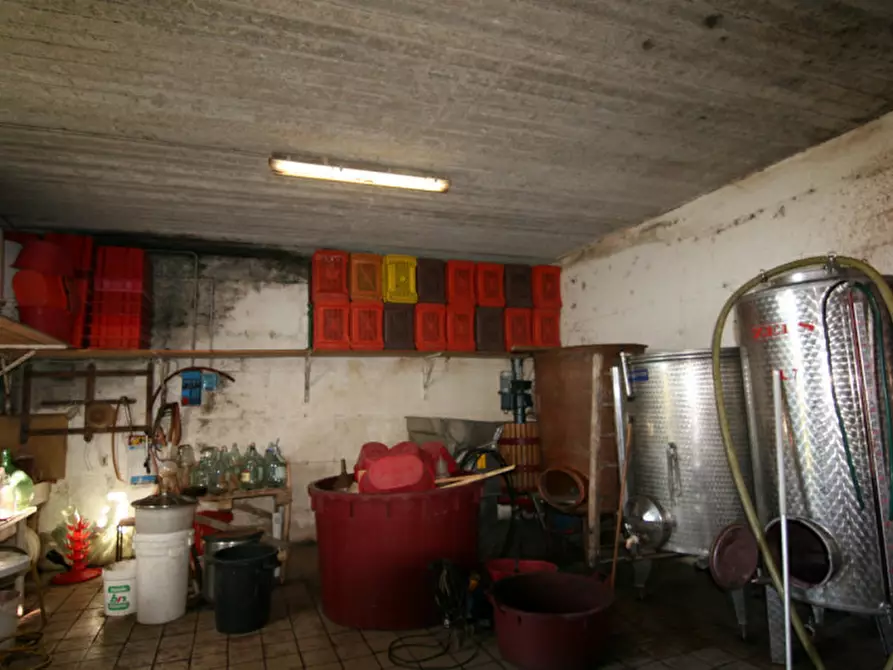 Immagine 22 di Rustico / casale in vendita  a Sinalunga