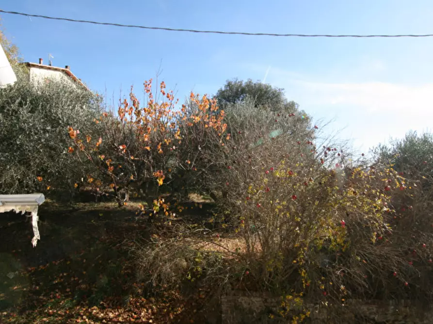 Immagine 34 di Rustico / casale in vendita  a Sinalunga