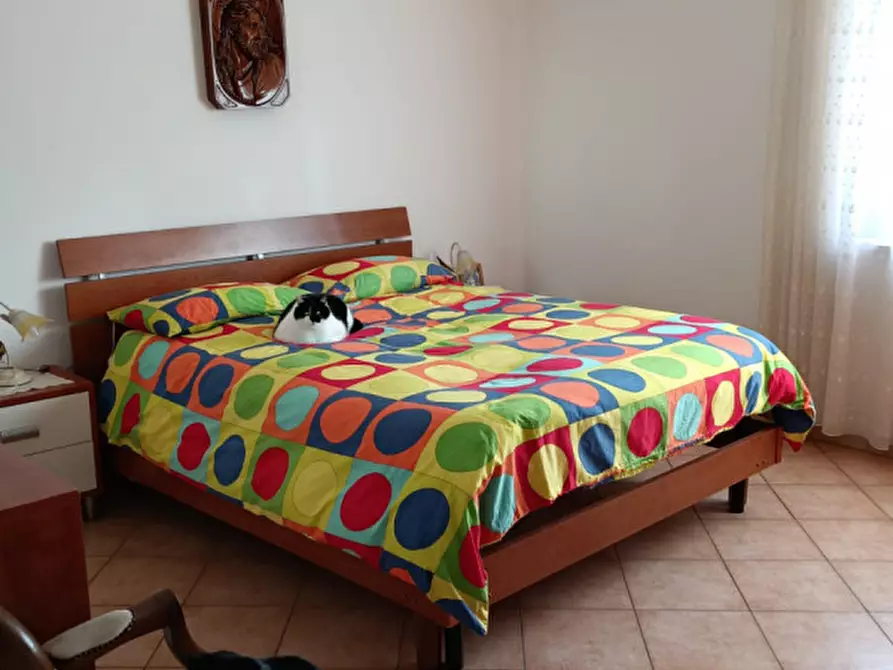 Immagine 22 di Appartamento in vendita  a Foiano Della Chiana