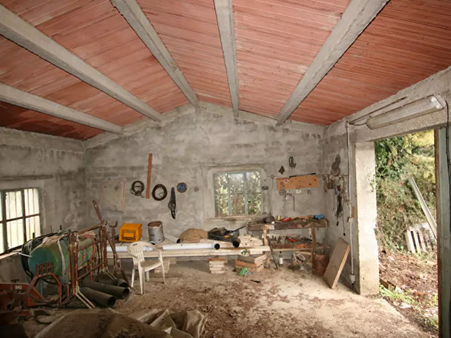 Immagine 3 di Casa indipendente in vendita  a Castiglione D'orcia