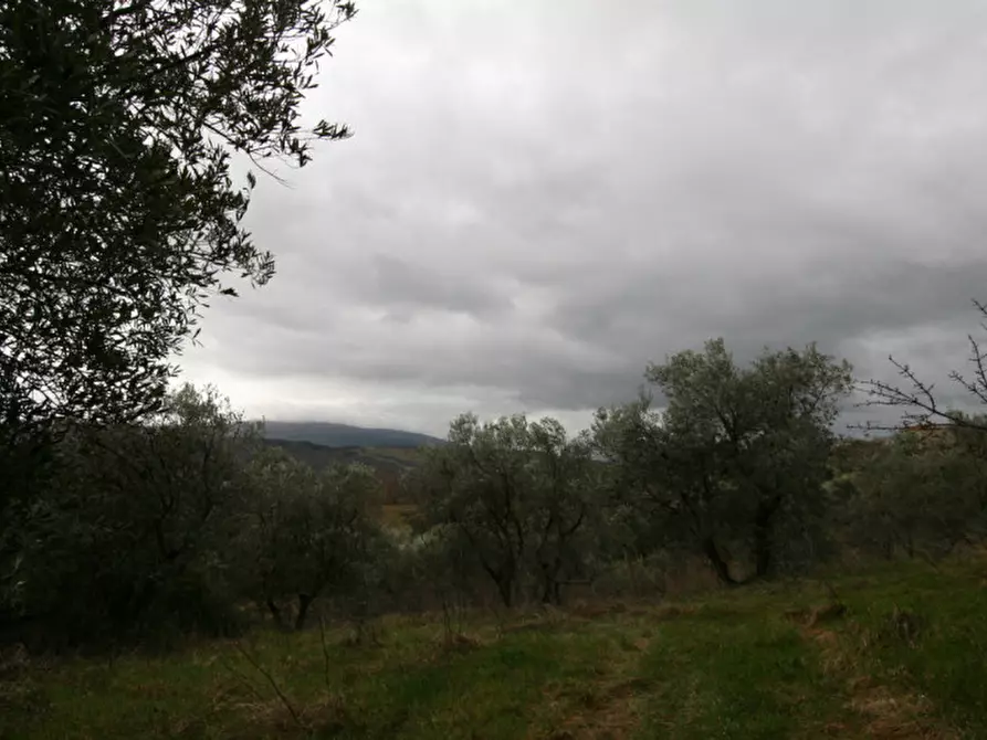 Immagine 8 di Casa indipendente in vendita  a Castiglione D'orcia