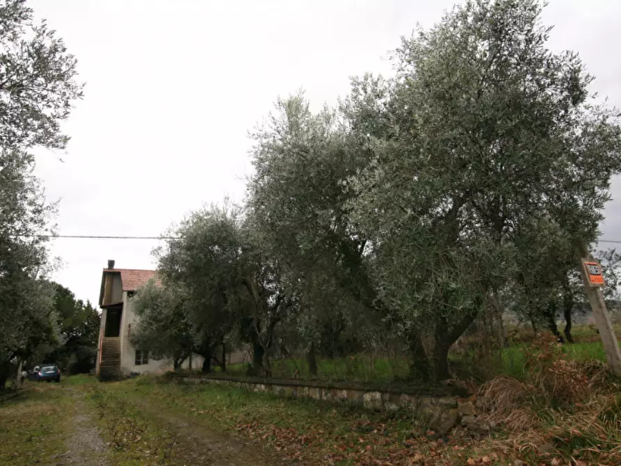 Immagine 9 di Casa indipendente in vendita  a Castiglione D'orcia