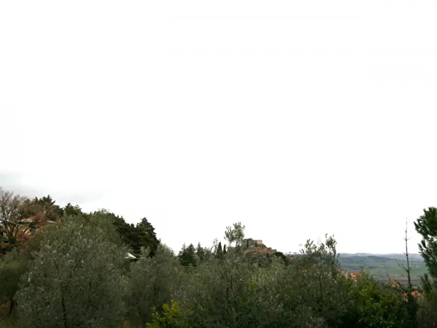 Immagine 16 di Casa indipendente in vendita  a Castiglione D'orcia