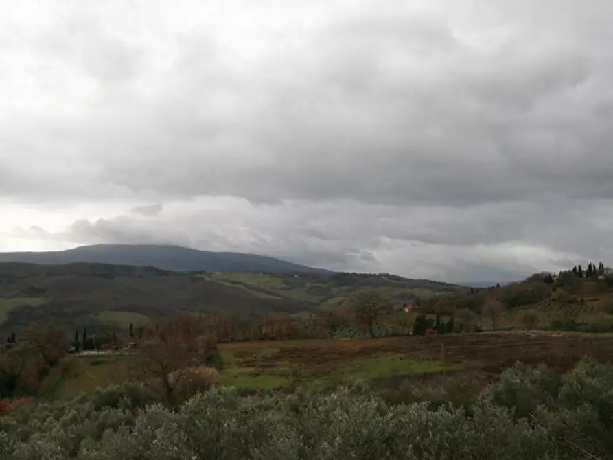 Immagine 38 di Casa indipendente in vendita  a Castiglione D'orcia