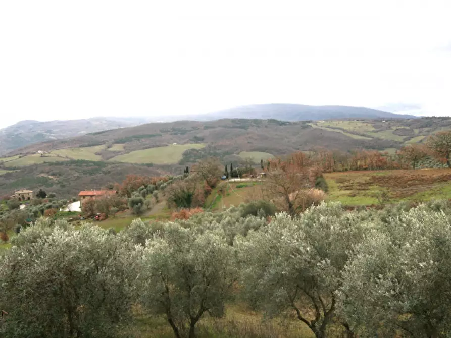Immagine 40 di Casa indipendente in vendita  a Castiglione D'orcia