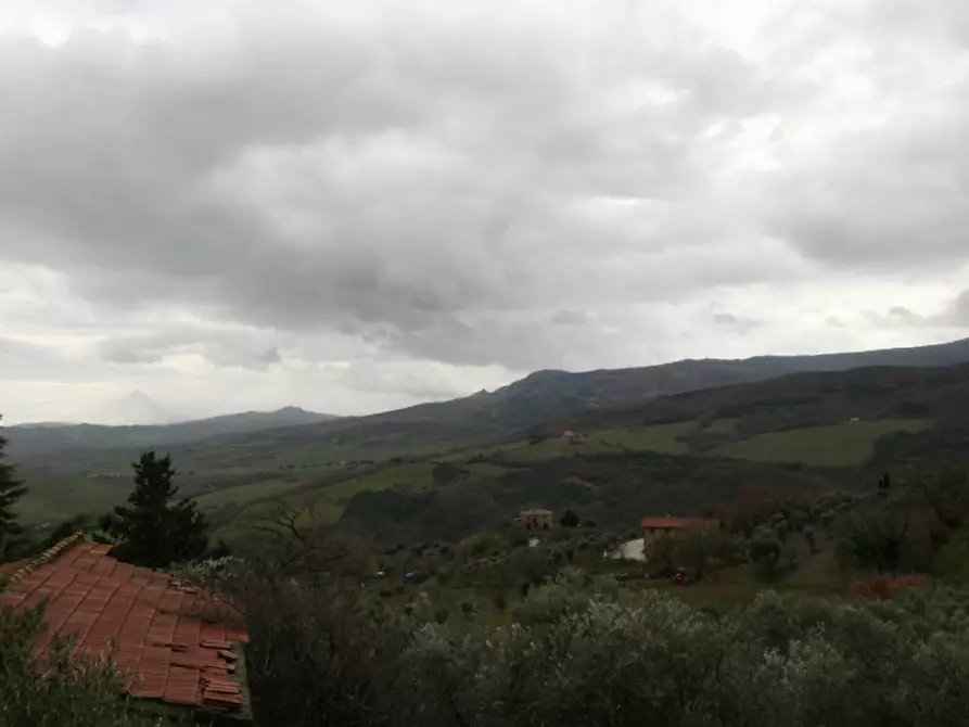 Immagine 39 di Casa indipendente in vendita  a Castiglione D'orcia