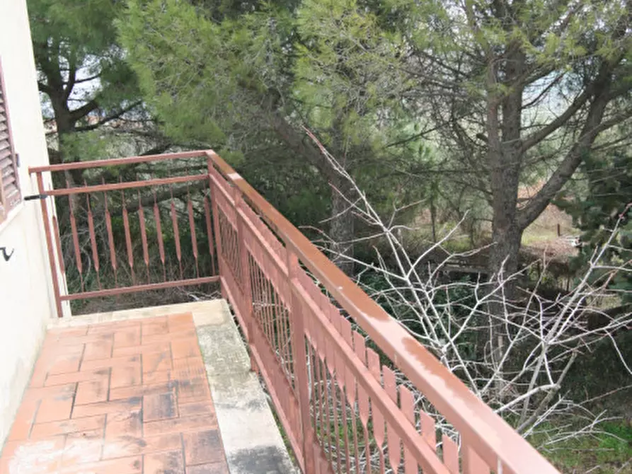 Immagine 41 di Casa indipendente in vendita  a Castiglione D'orcia