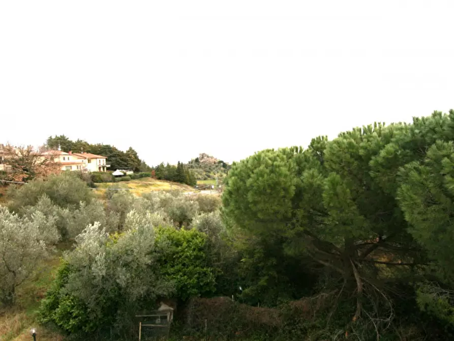 Immagine 47 di Casa indipendente in vendita  a Castiglione D'orcia