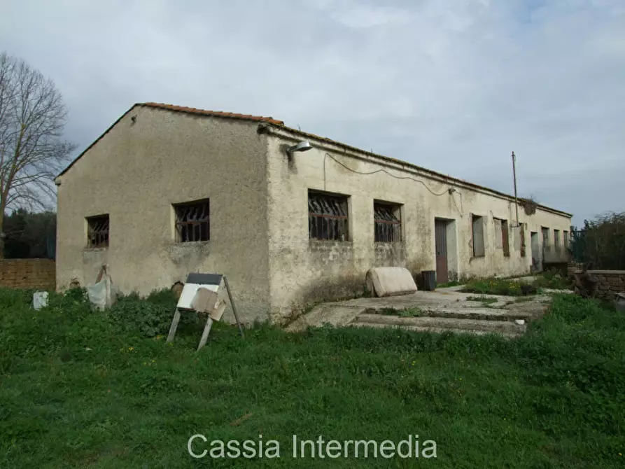 Immagine 2 di Rustico / casale in vendita  in Via Mattioli 8 a Castel Sant'elia