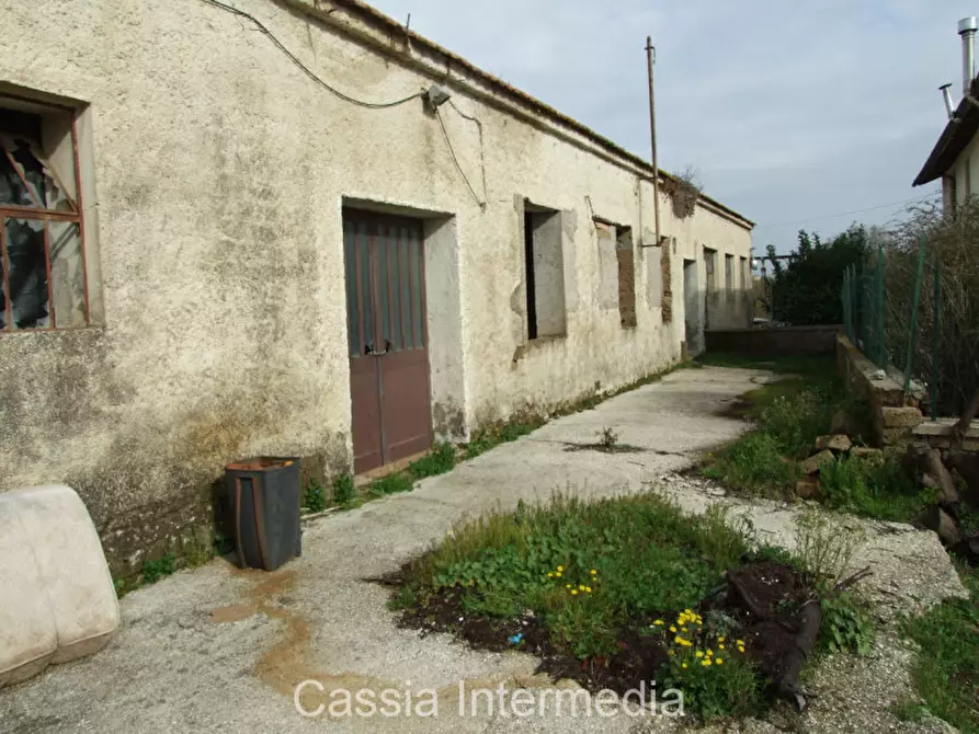 Immagine 4 di Rustico / casale in vendita  in Via Mattioli 8 a Castel Sant'elia