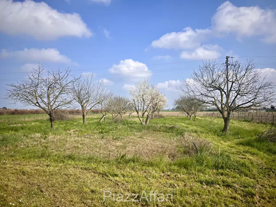 Immagine 36 di Casa indipendente in vendita  in Via Porto Superiore a Brugine