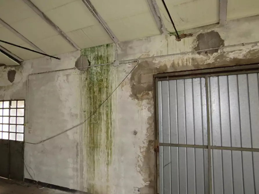 Immagine 30 di Magazzino in vendita  in Via Monte Grappa 15 a Cerea