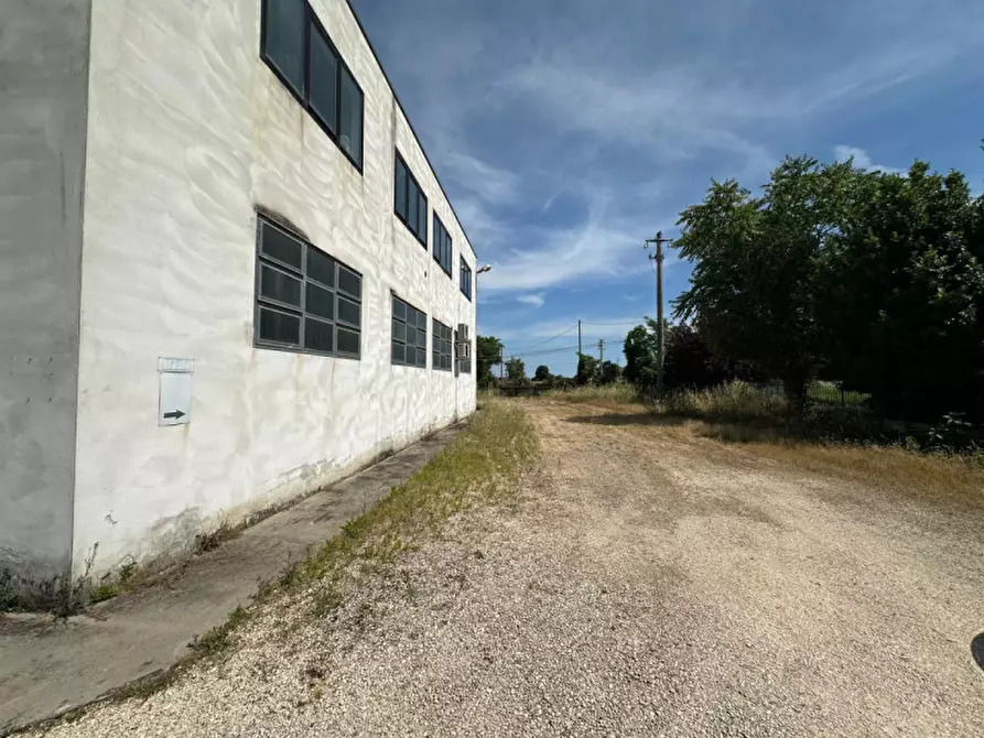 Immagine 3 di Capannone industriale in affitto  in Via Candie 3b a Monselice