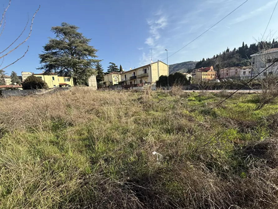 Immagine 3 di Terreno in vendita  a Tregnago