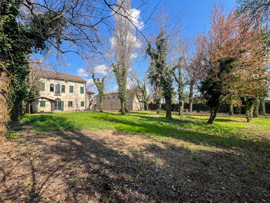 Immagine 60 di Villa in vendita  in Via Gelsi a Piove Di Sacco