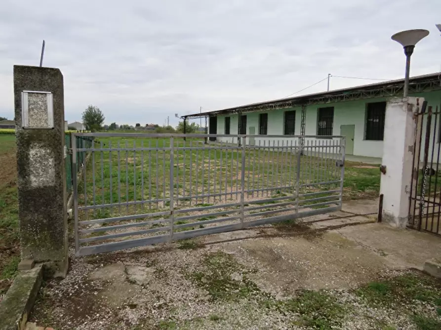Immagine 2 di Magazzino in vendita  in Via Oppioli 24A a Cerea