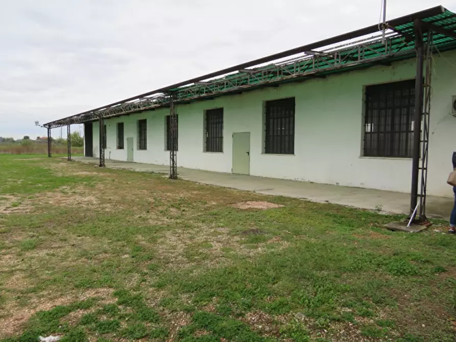 Immagine 4 di Magazzino in vendita  in Via Oppioli 24A a Cerea