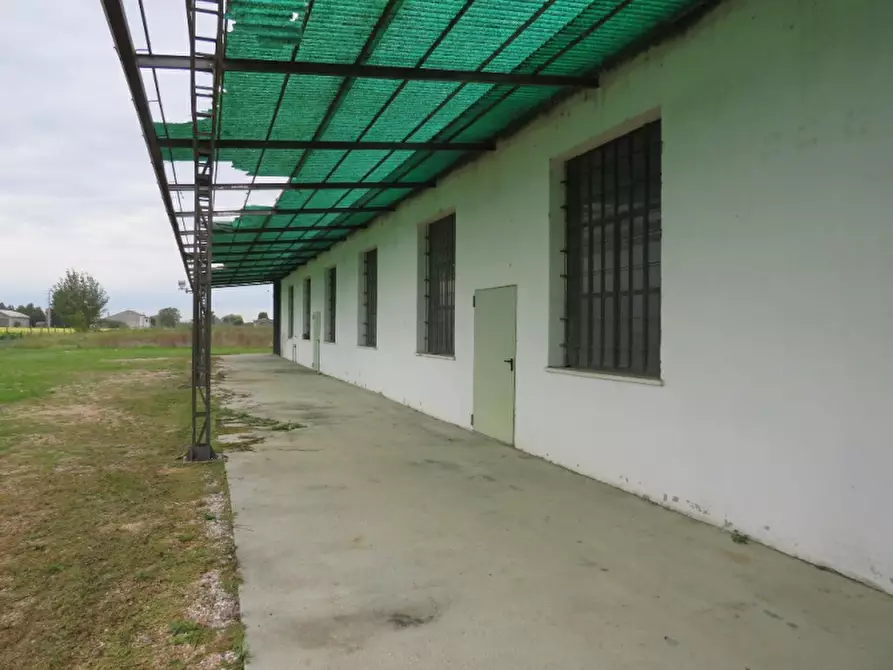 Immagine 5 di Magazzino in vendita  in Via Oppioli 24A a Cerea