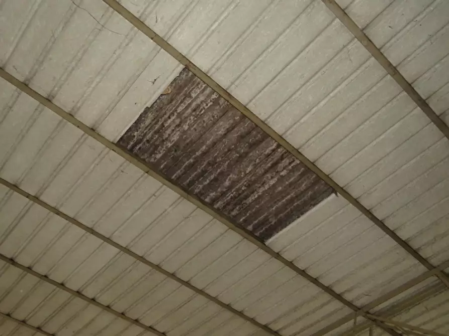 Immagine 20 di Magazzino in vendita  in Via Oppioli 24A a Cerea