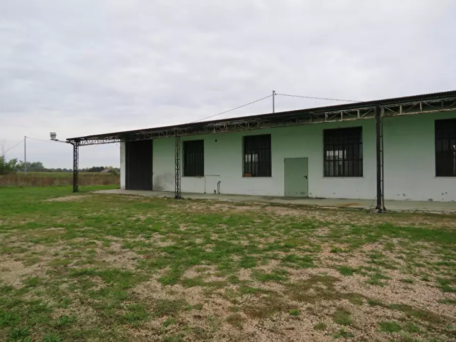 Immagine 25 di Magazzino in vendita  in Via Oppioli 24A a Cerea