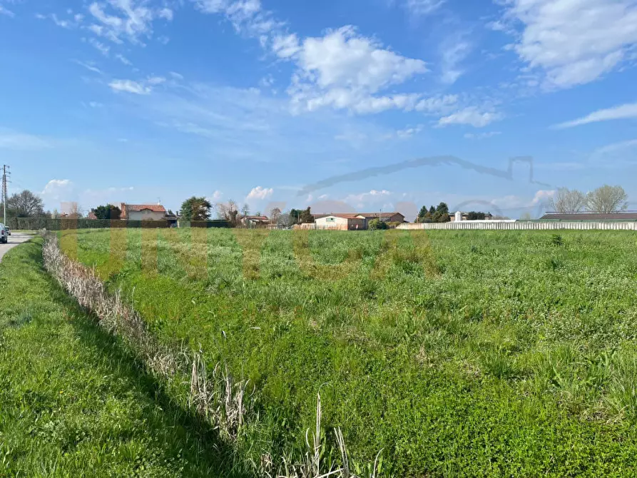 Immagine 1 di Terreno in vendita  in Via Boccalara a Cervarese Santa Croce
